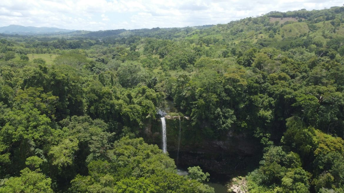 Cidade milenar é descoberta sob a floresta amazônica no Equador